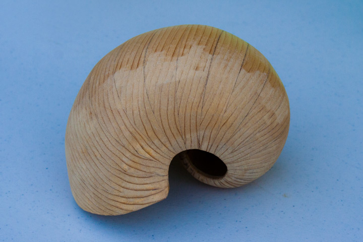 scrollsawed wood shell by Dave Seidler